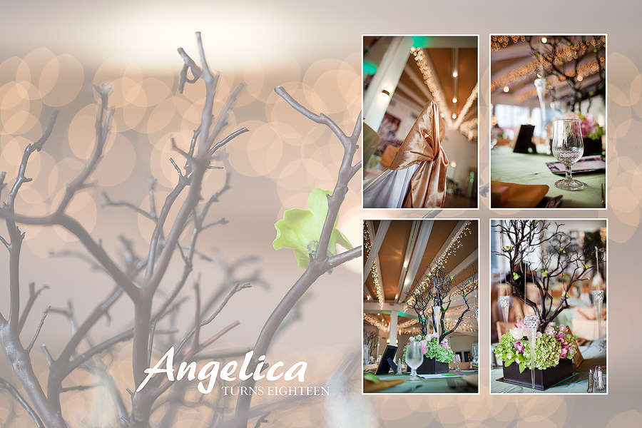  : Angelica Turns Eighteen : visual meanderings by vt fine art photography