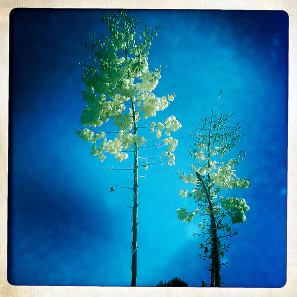  : Hipstamatic World : visual meanderings by vt fine art photography